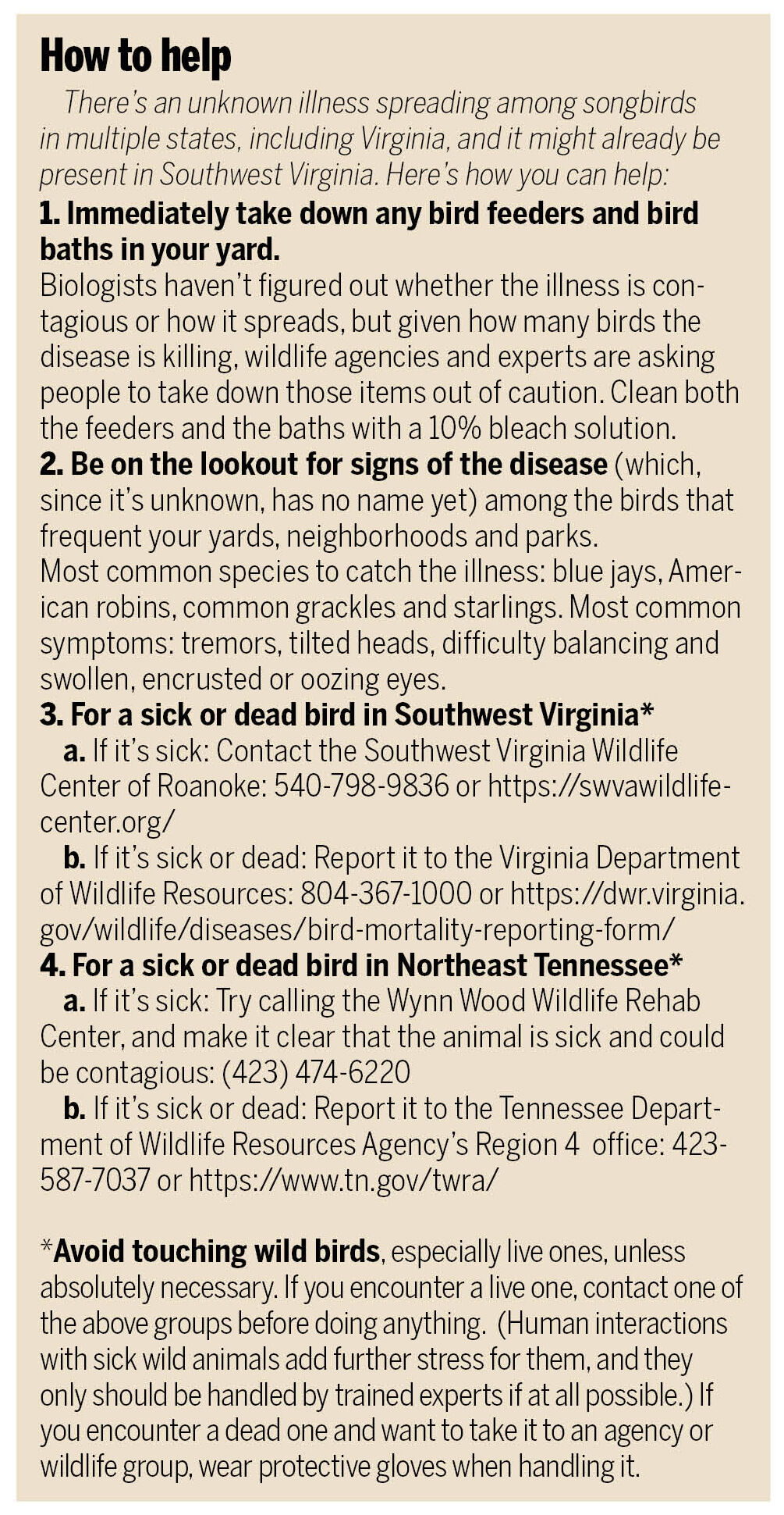 Bird illness